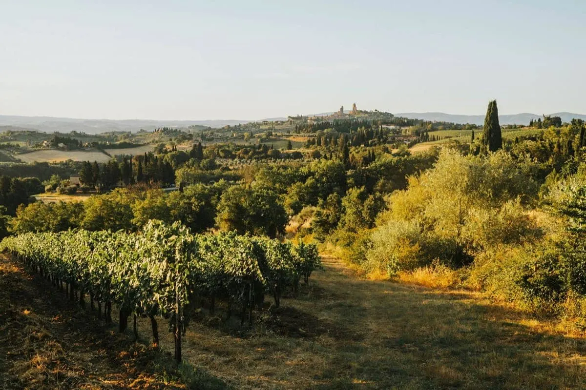 La campagna intorno, verso sera